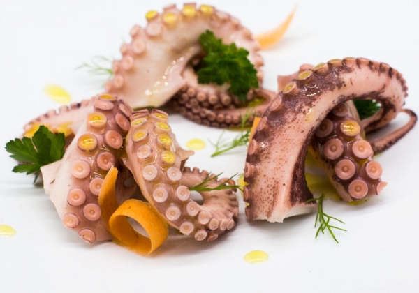 Oktopus - Kraken in Öl 3100ml